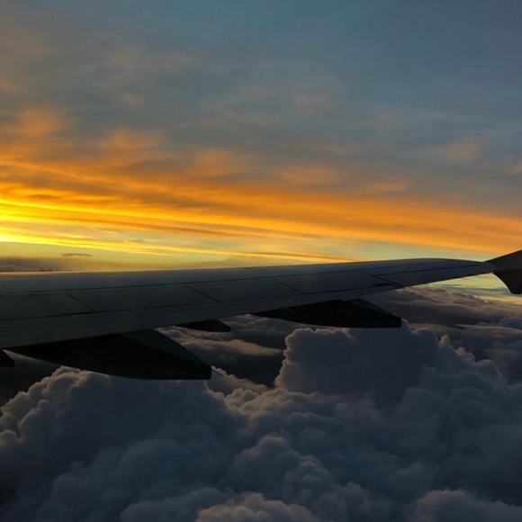 Meet your Posher, Maggie - Picture 1 of 1